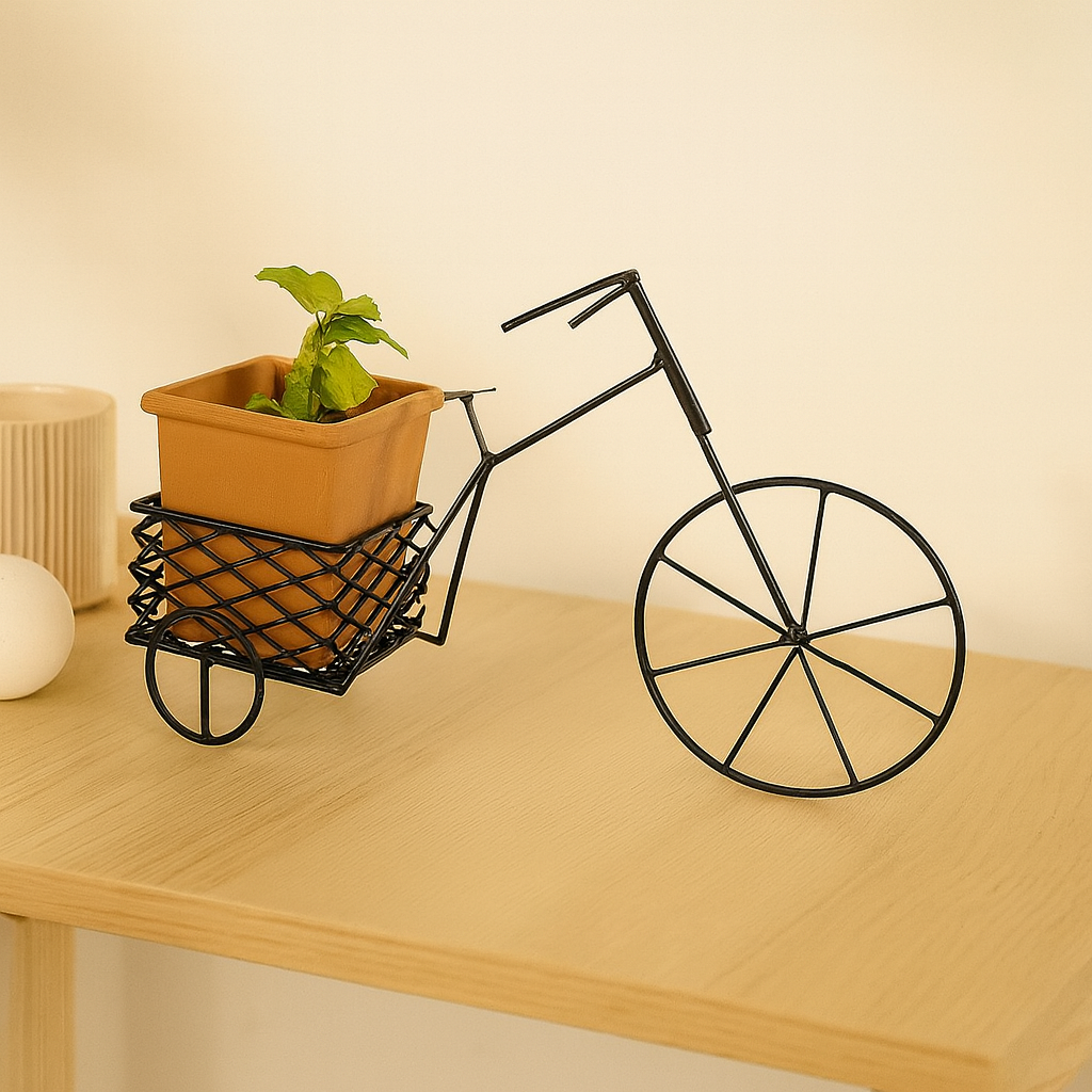 Base para matera- unae-verdecleta