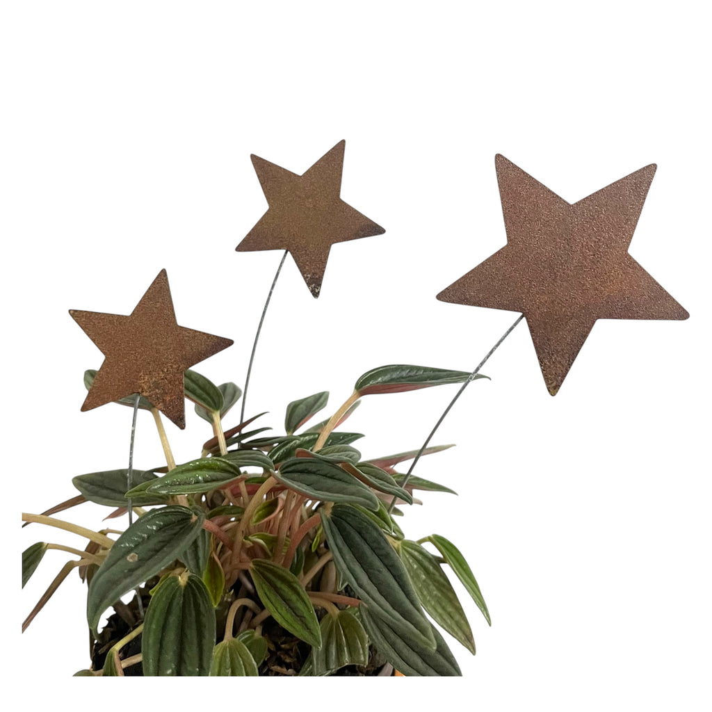 Set Estrellas Oxidadas x3