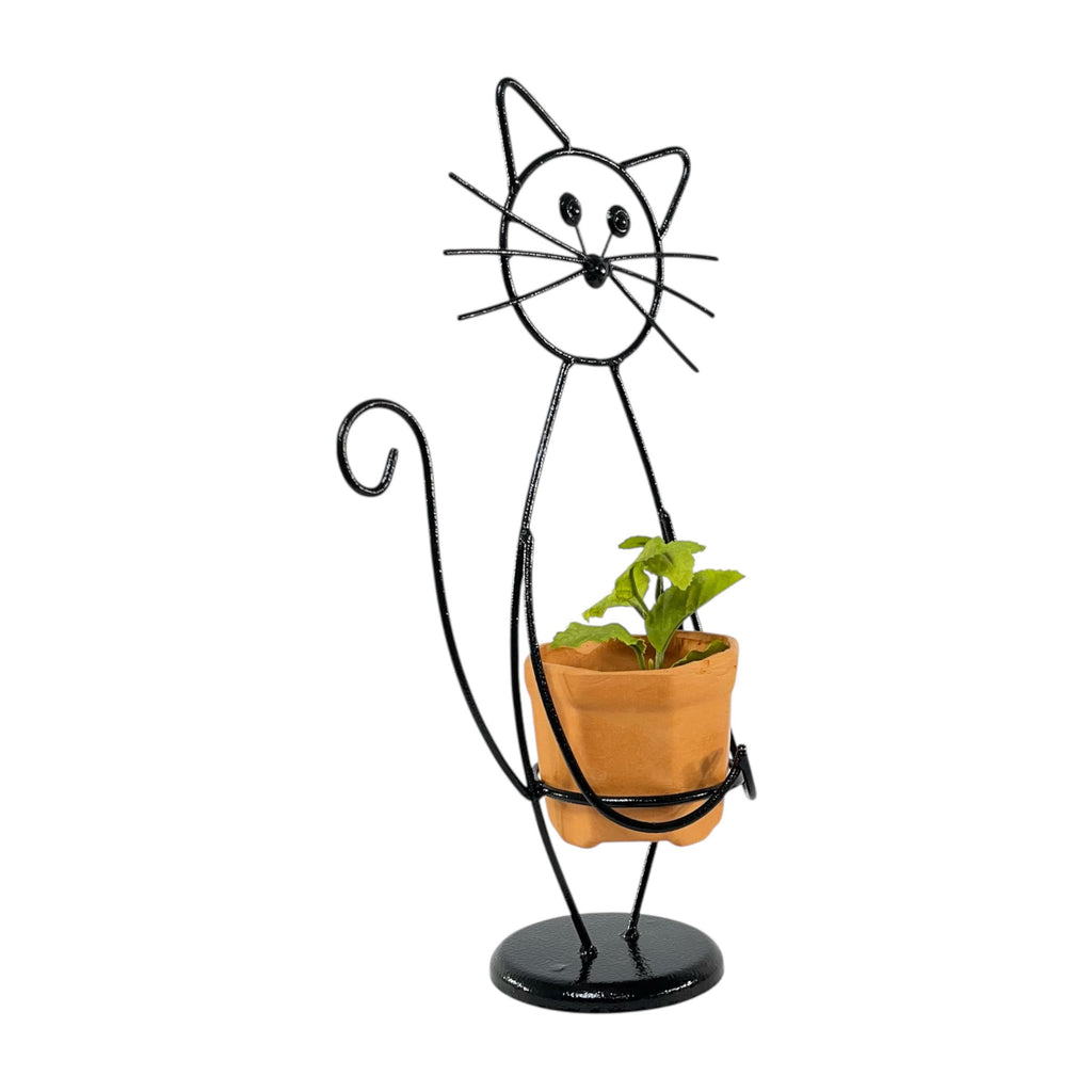 Base para matera - Mishiplanta