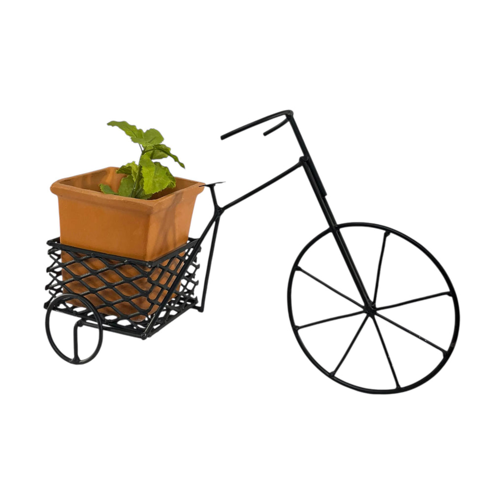 Base para matera- unae-verdecleta