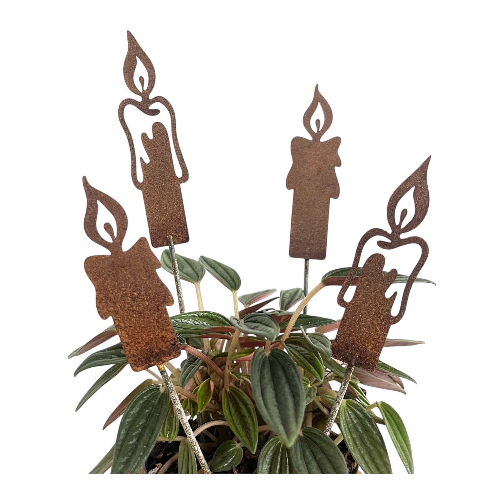 Velas de adviento (x4)