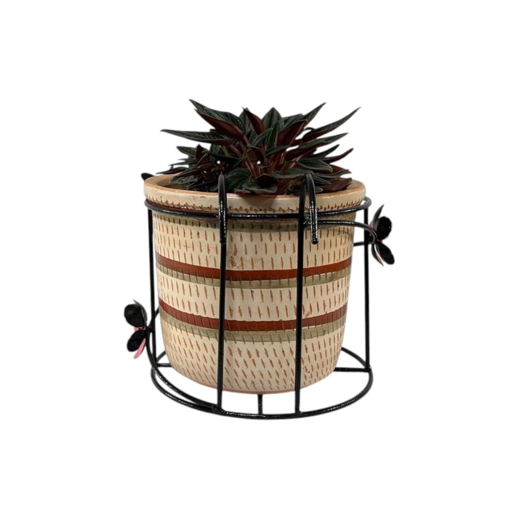 Unae Enara - (Media)